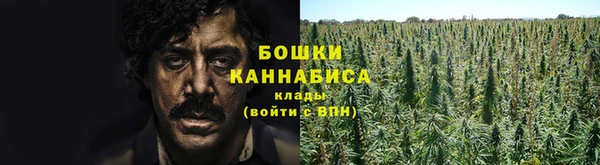 прущие грибы Абдулино