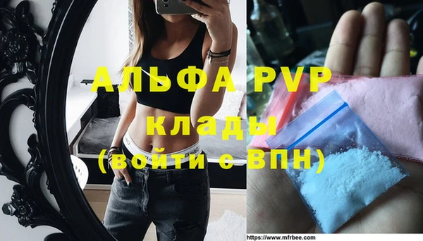 прущие грибы Абдулино