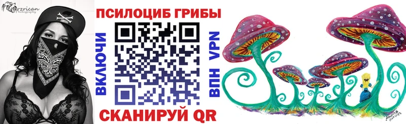 МЕГА   Дальнереченск  Галлюциногенные грибы Psilocybine cubensis 